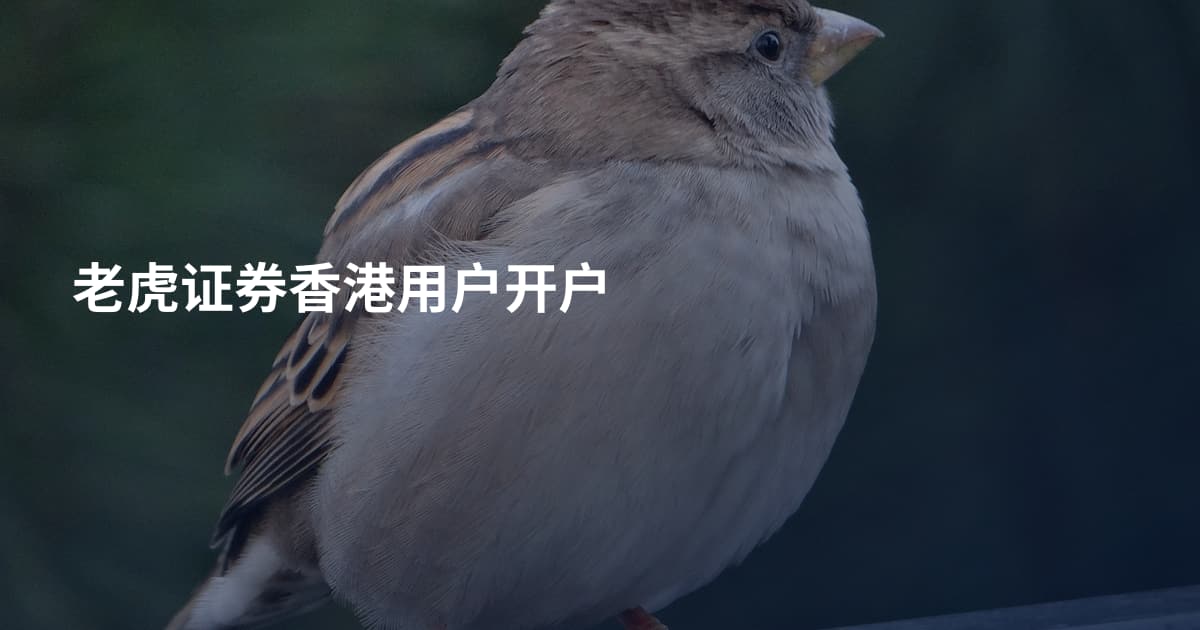 老虎证券香港用户开户