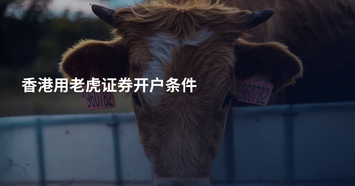 香港用老虎证券开户条件