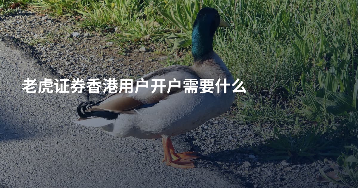 老虎证券香港用户开户需要什么