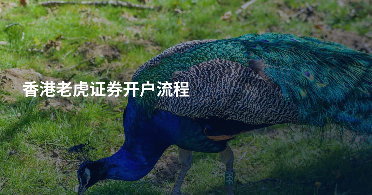 香港老虎证券开户流程