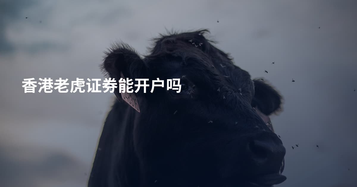 香港老虎证券能开户吗