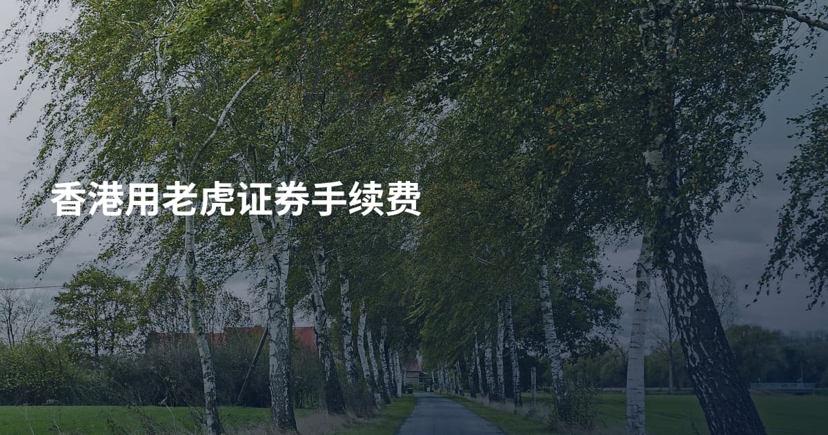 香港用老虎证券手续费