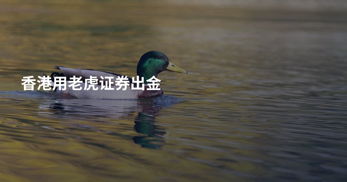 香港用老虎证券出金