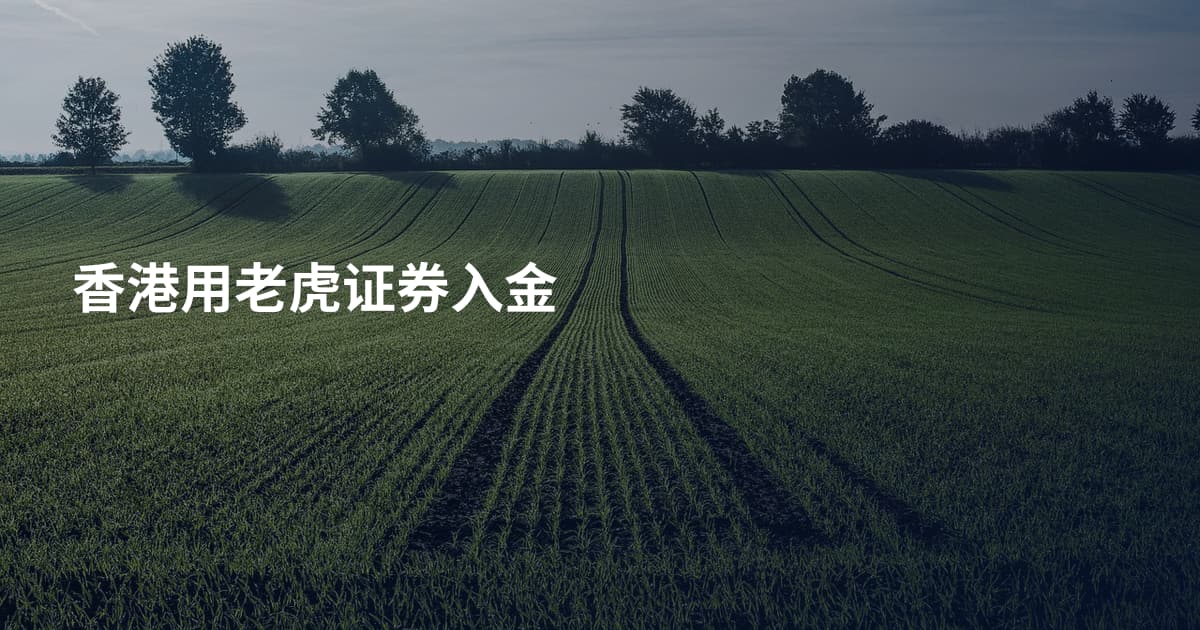 香港用老虎证券入金