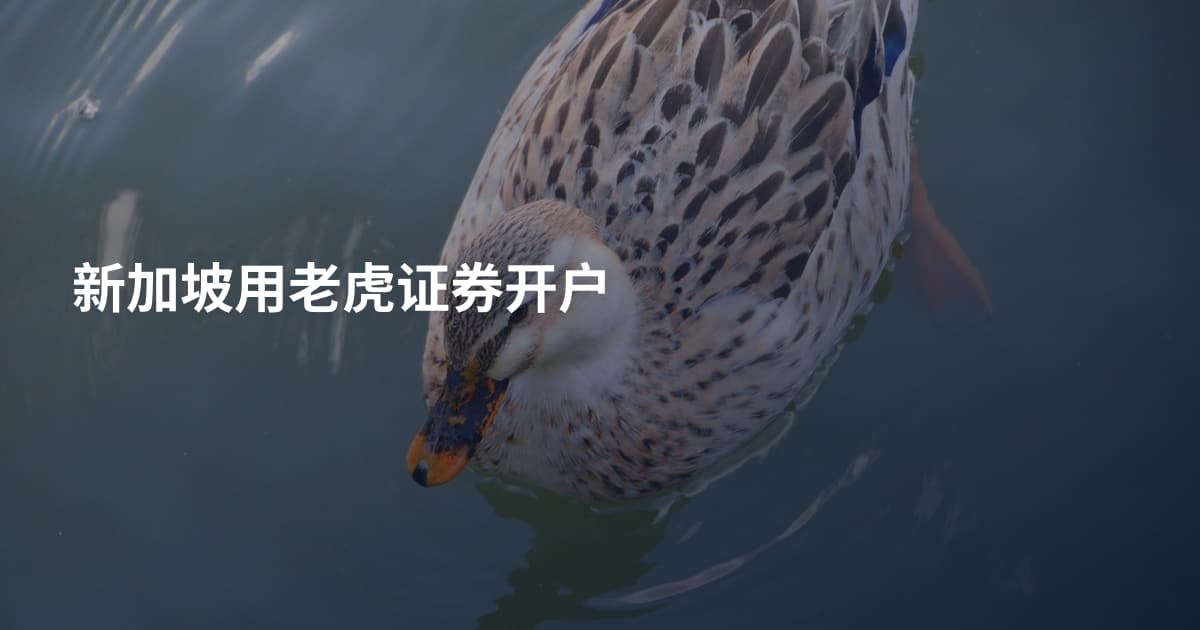 新加坡用老虎证券开户