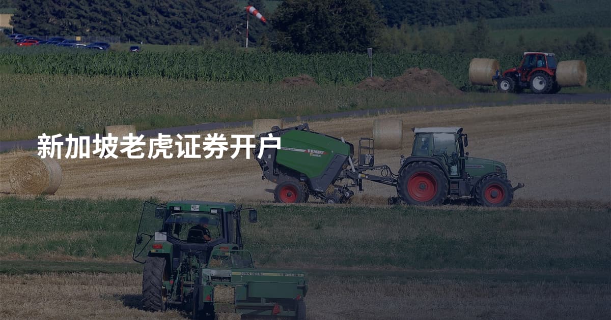 新加坡老虎证券开户