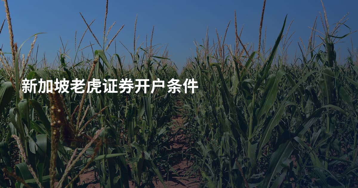 新加坡老虎证券开户条件