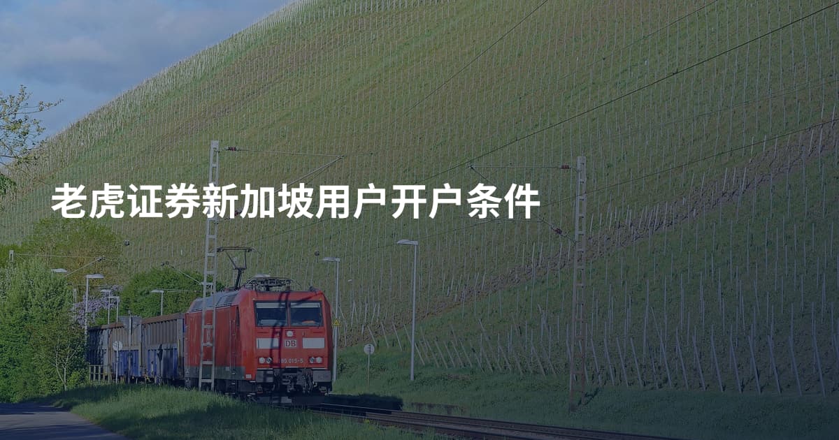 老虎证券新加坡用户开户条件
