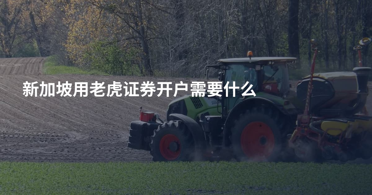 新加坡用老虎证券开户需要什么