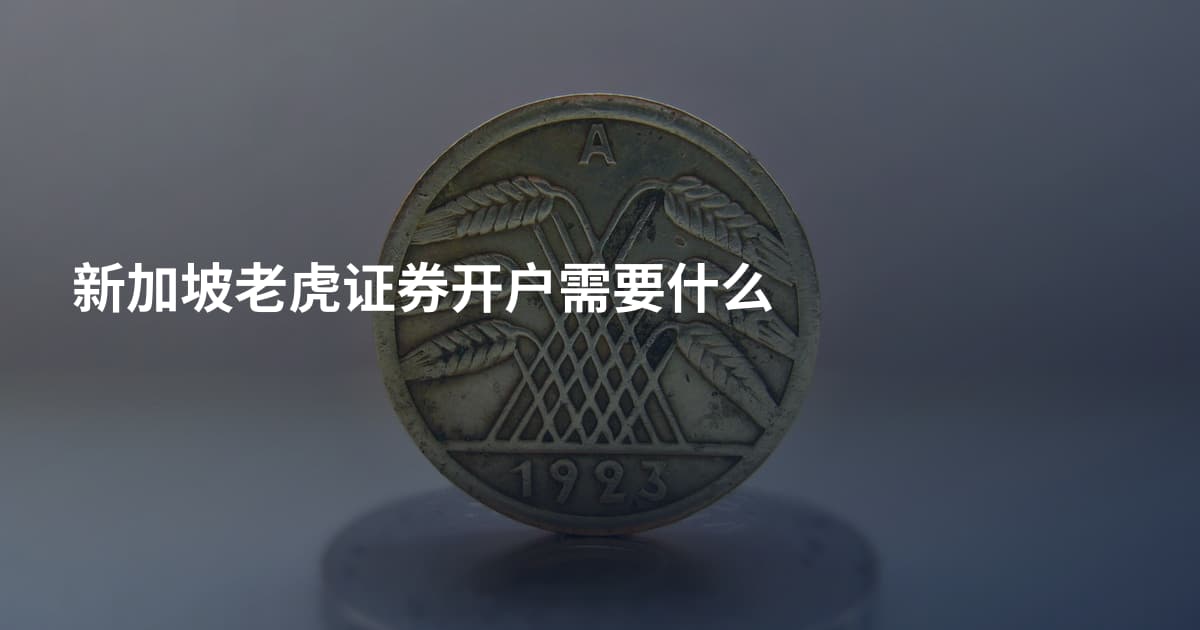 新加坡老虎证券开户需要什么