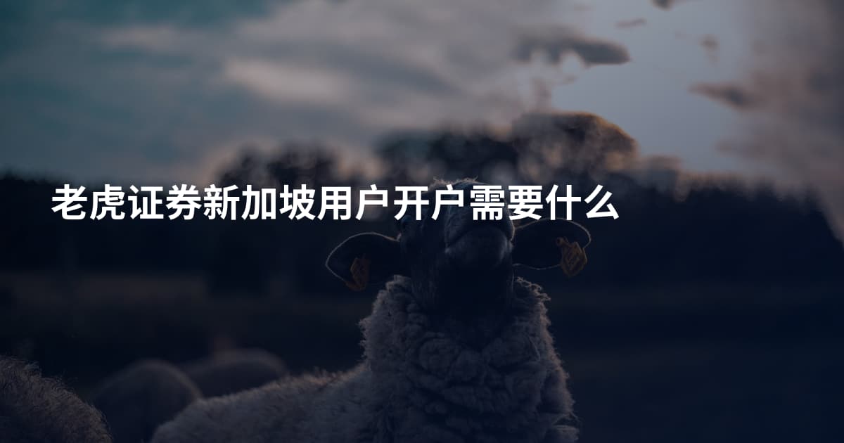 老虎证券新加坡用户开户需要什么