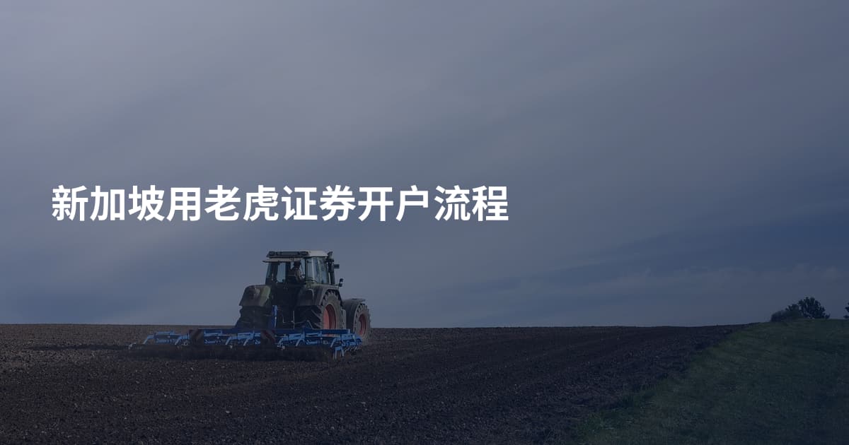 新加坡用老虎证券开户流程