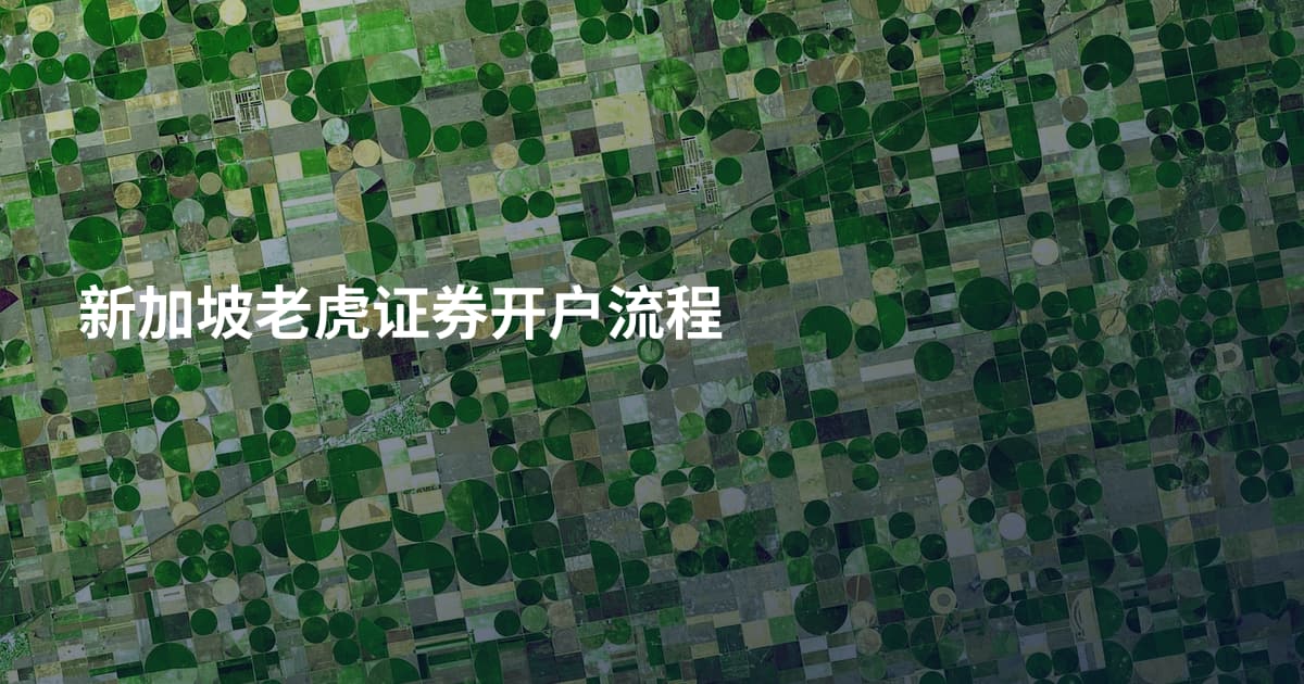 新加坡老虎证券开户流程