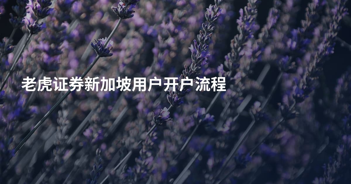 老虎证券新加坡用户开户流程