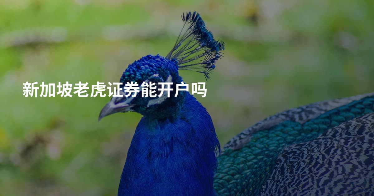 新加坡老虎证券能开户吗