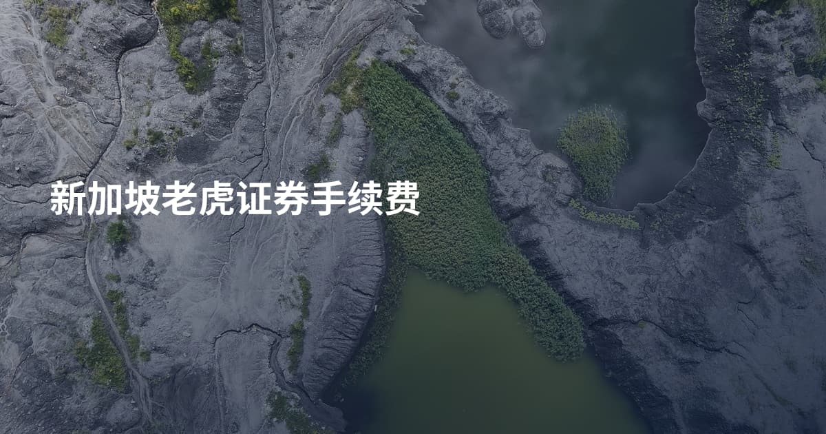 新加坡老虎证券手续费