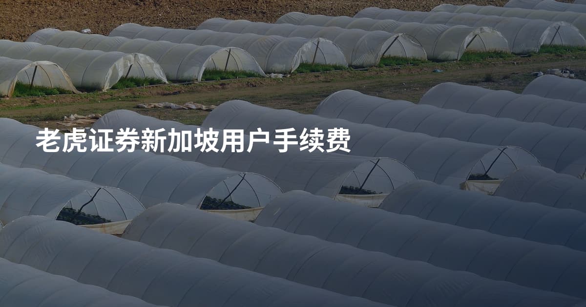 老虎证券新加坡用户手续费