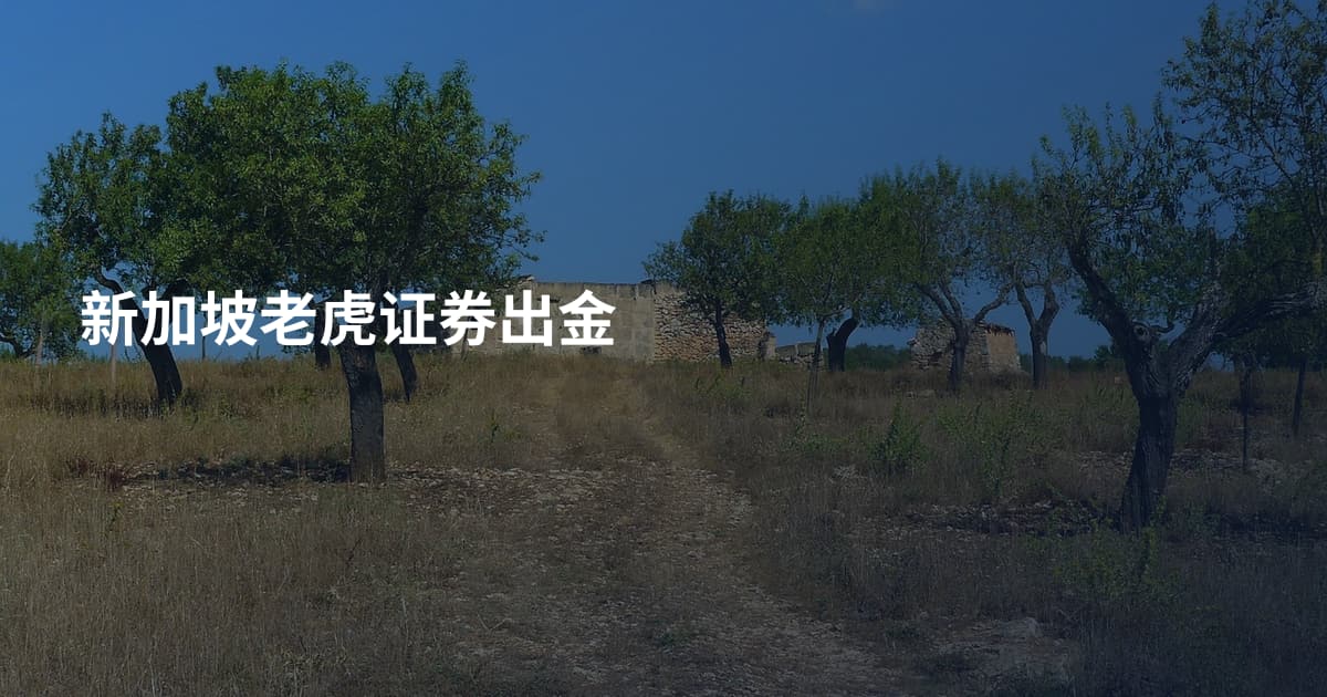 新加坡老虎证券出金