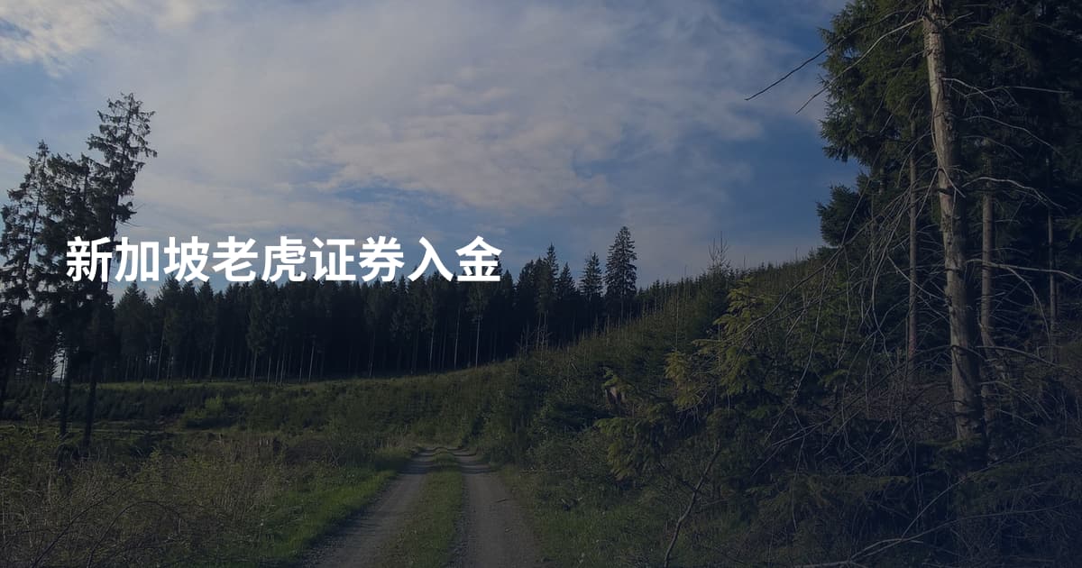 新加坡老虎证券入金