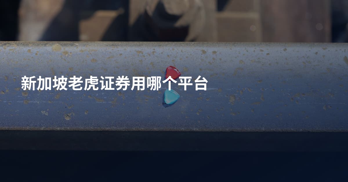新加坡老虎证券用哪个平台
