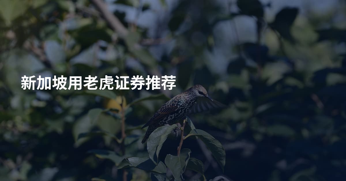 新加坡用老虎证券推荐