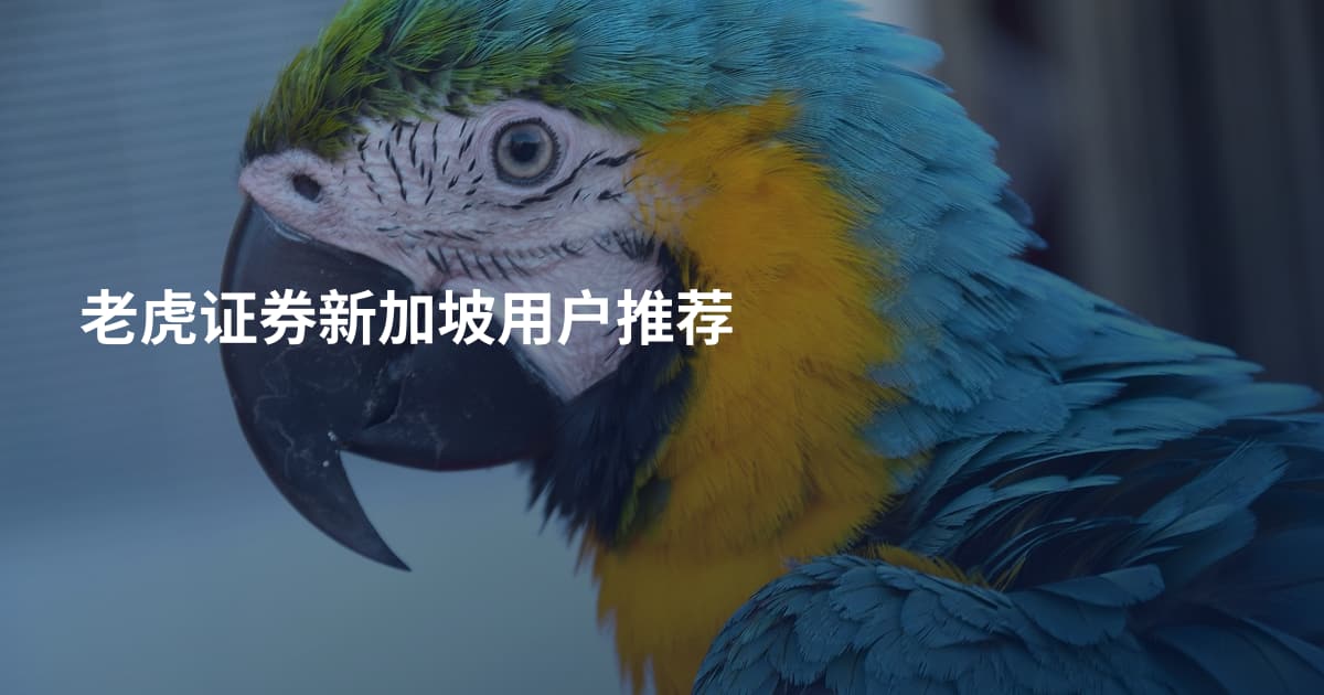 老虎证券新加坡用户推荐
