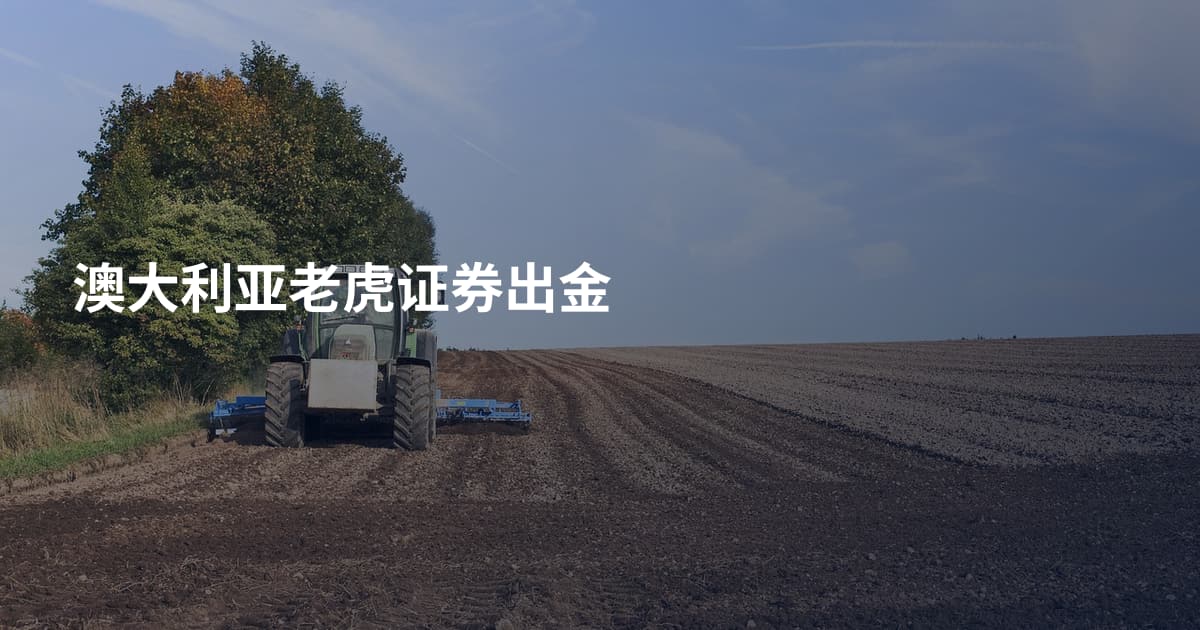 澳大利亚老虎证券出金