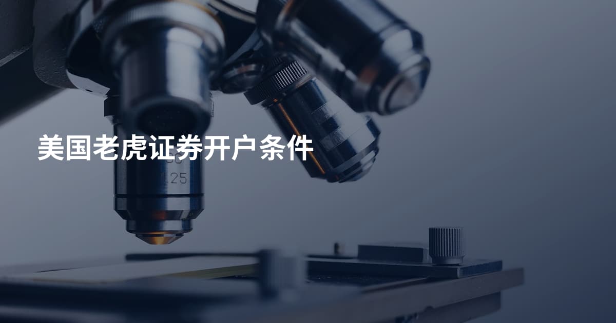 美国老虎证券开户条件