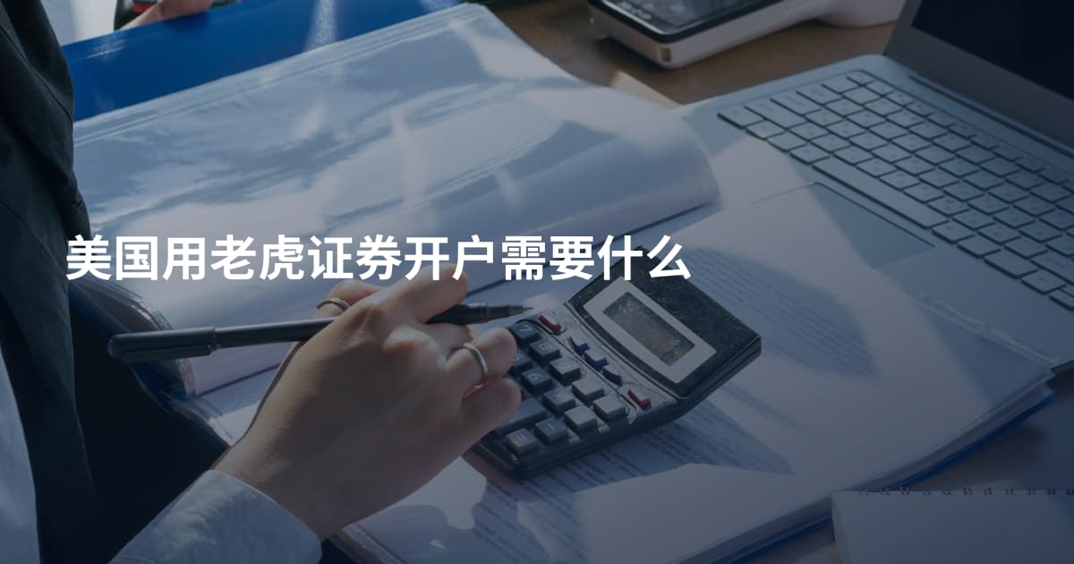美国用老虎证券开户需要什么