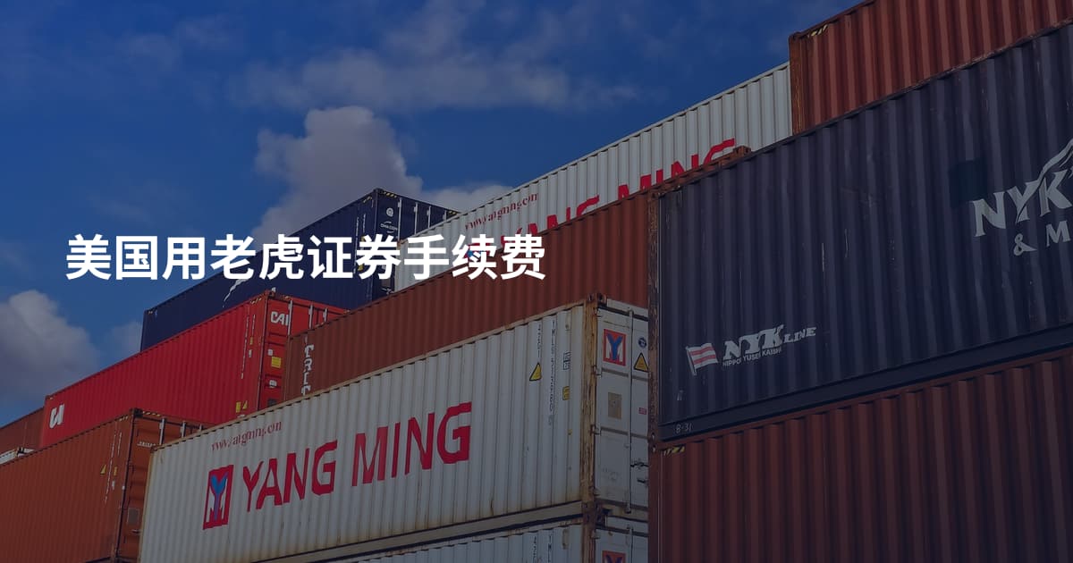 美国用老虎证券手续费