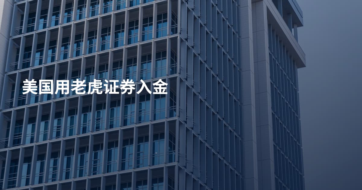 美国用老虎证券入金