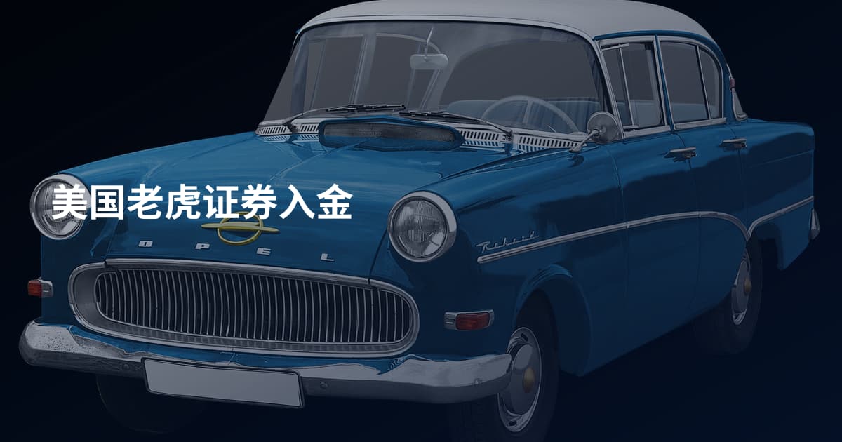 美国老虎证券入金