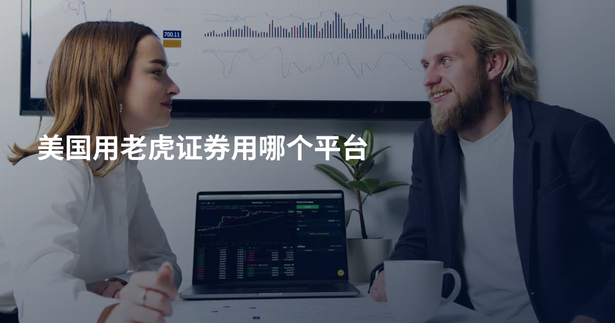 美国用老虎证券用哪个平台