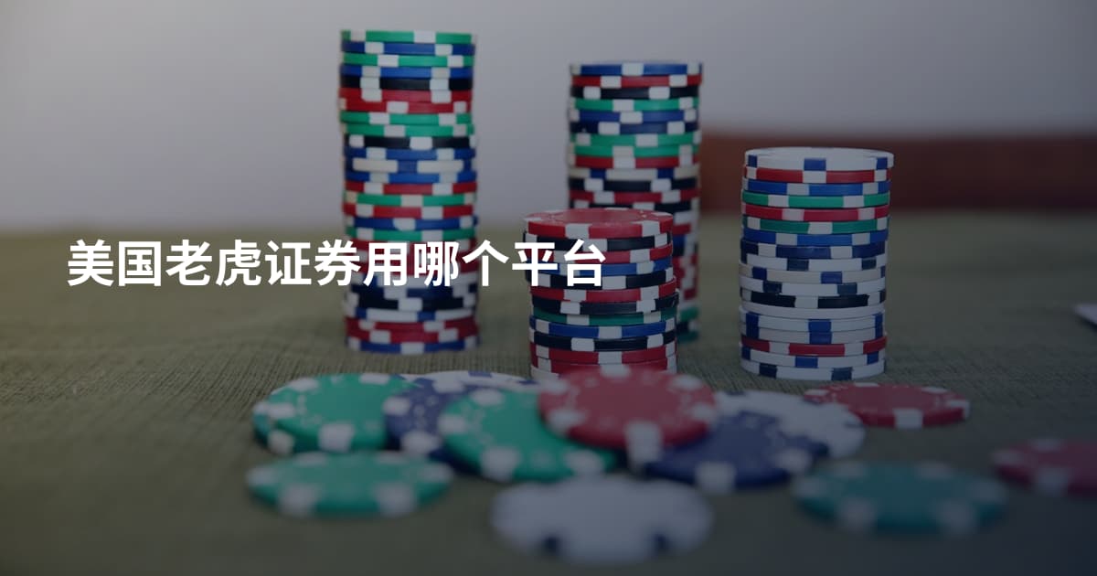 美国老虎证券用哪个平台