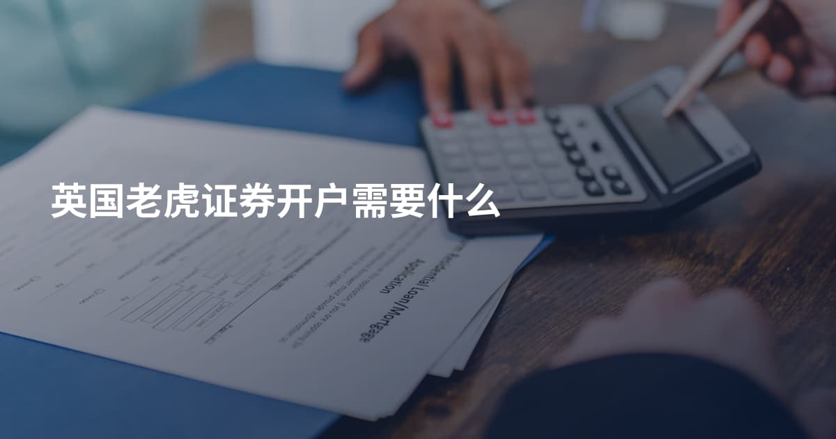 英国老虎证券开户需要什么