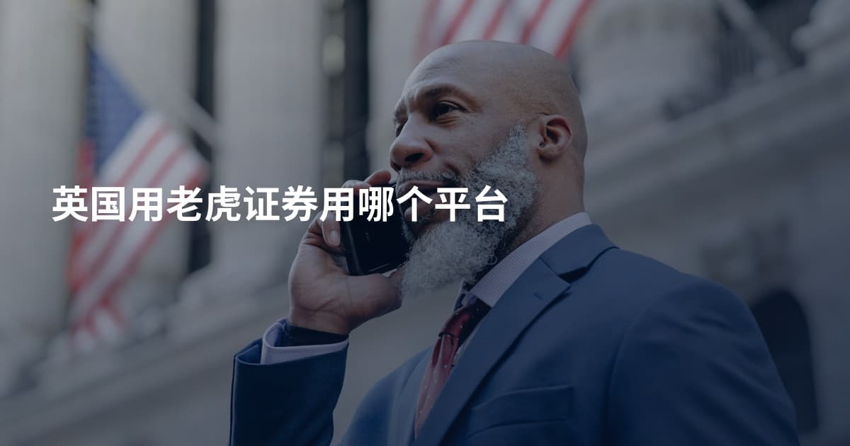 英国用老虎证券用哪个平台