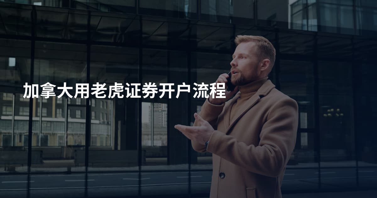 加拿大用老虎证券开户流程
