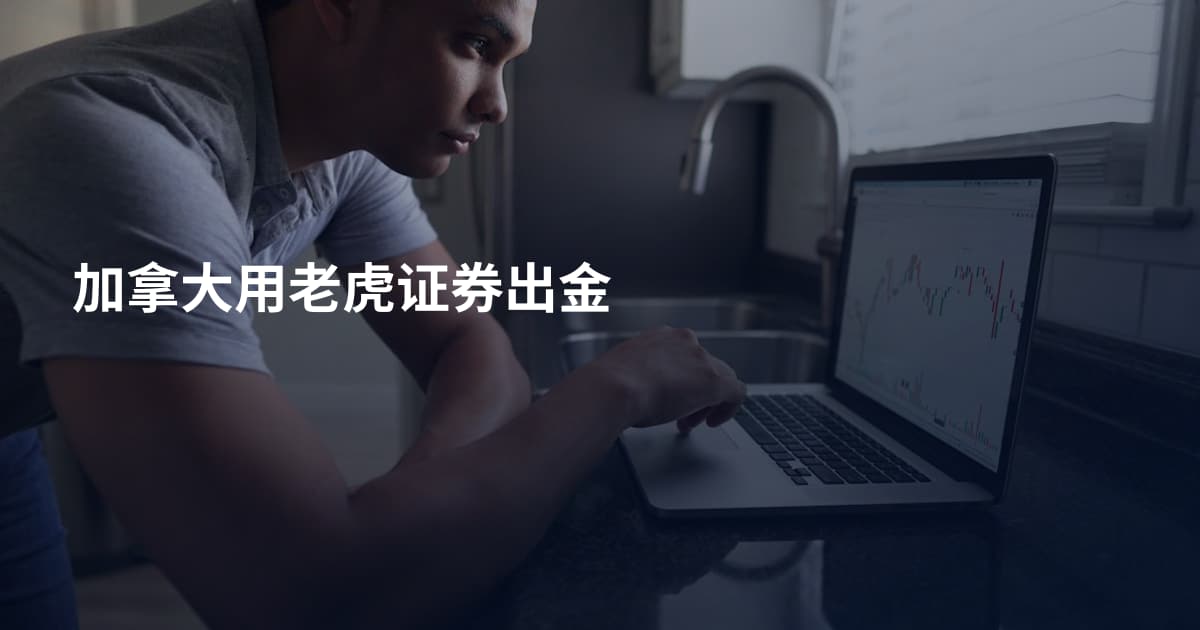 加拿大用老虎证券出金