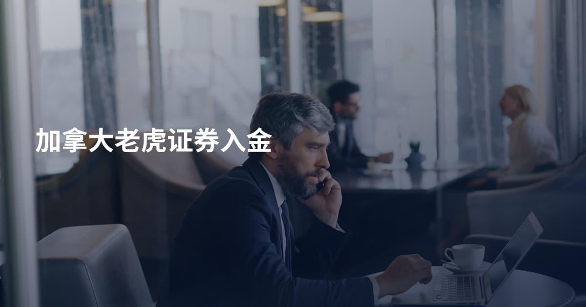 加拿大老虎证券入金