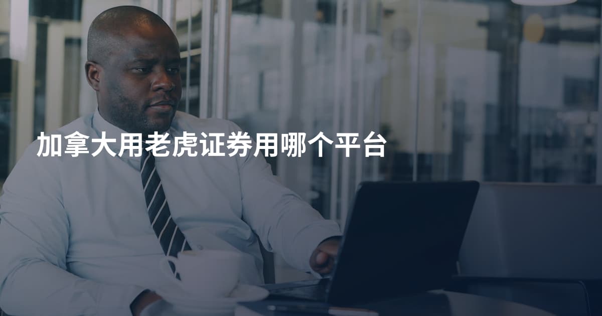 加拿大用老虎证券用哪个平台