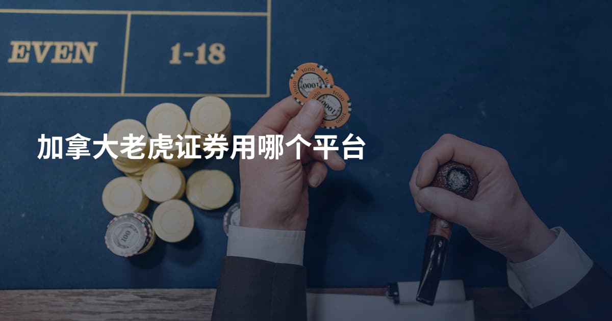 加拿大老虎证券用哪个平台