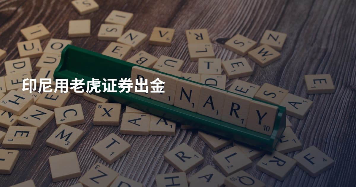 印尼用老虎证券出金