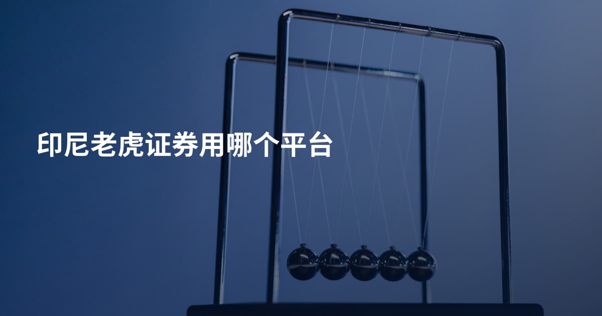 印尼老虎证券用哪个平台