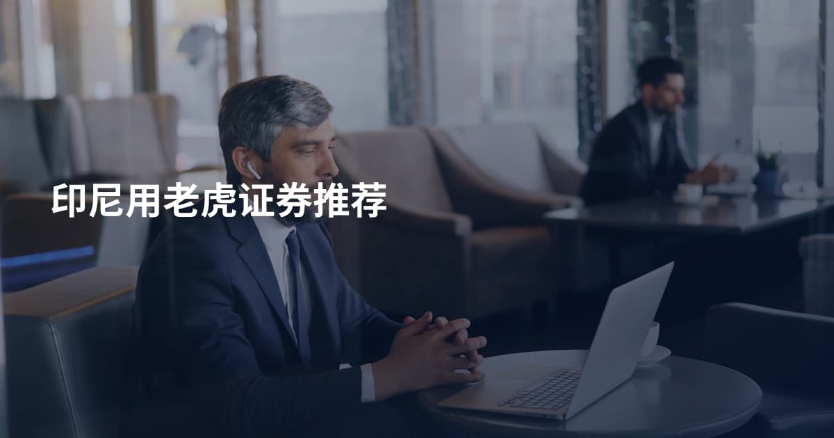 印尼用老虎证券推荐
