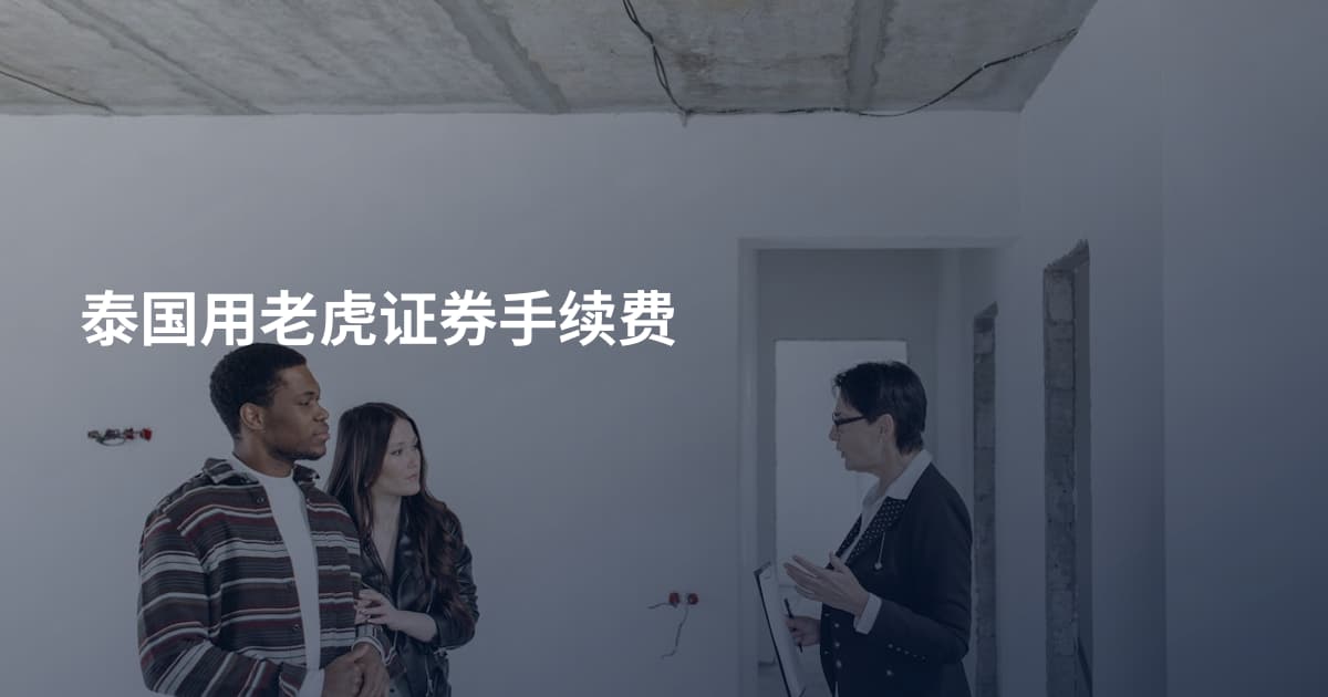 泰国用老虎证券手续费