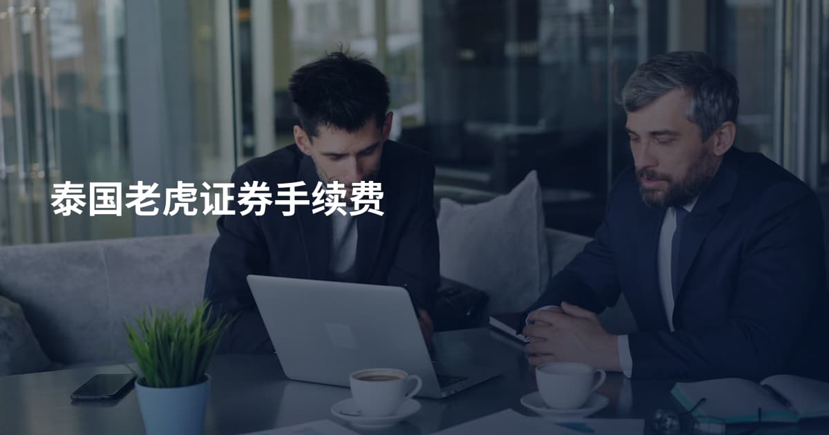 泰国老虎证券手续费