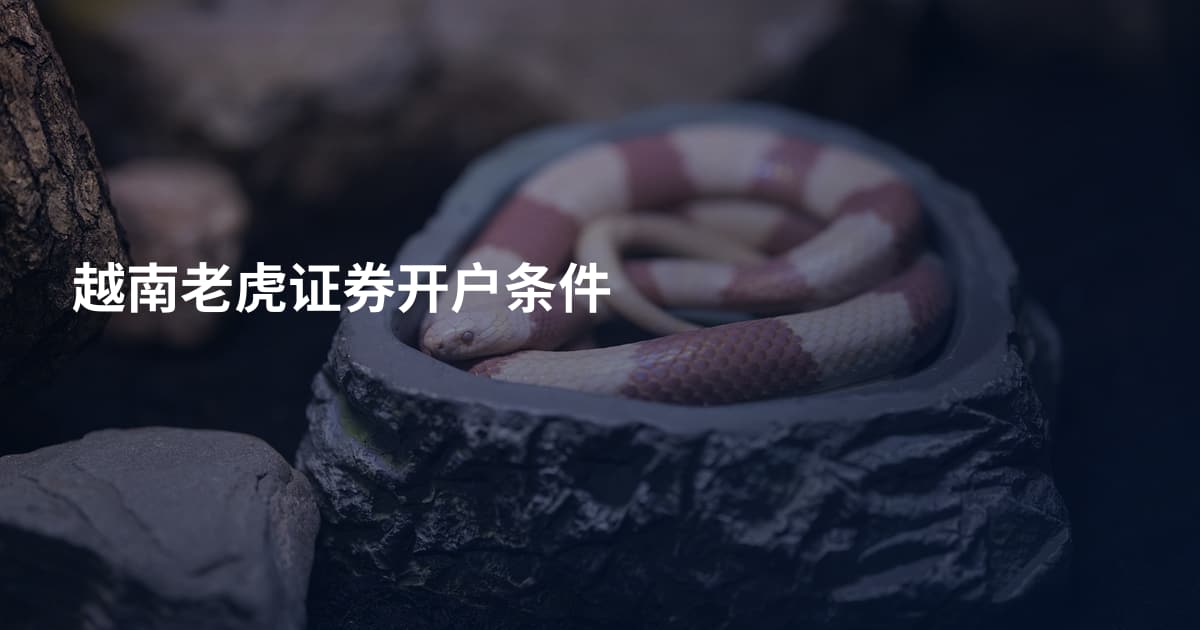越南老虎证券开户条件