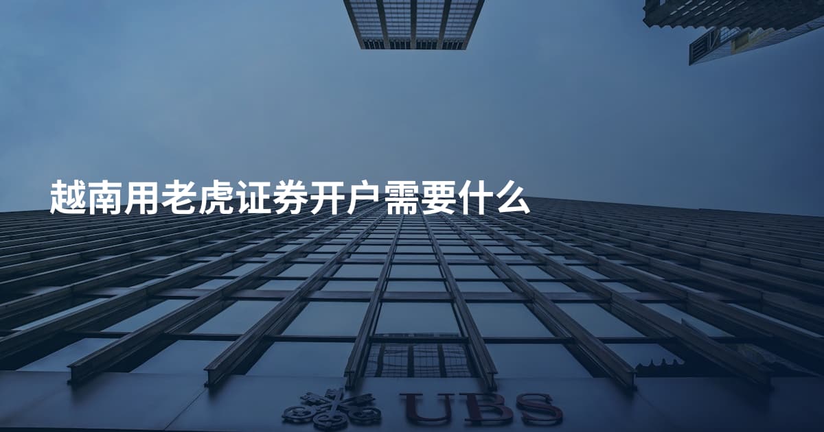 越南用老虎证券开户需要什么