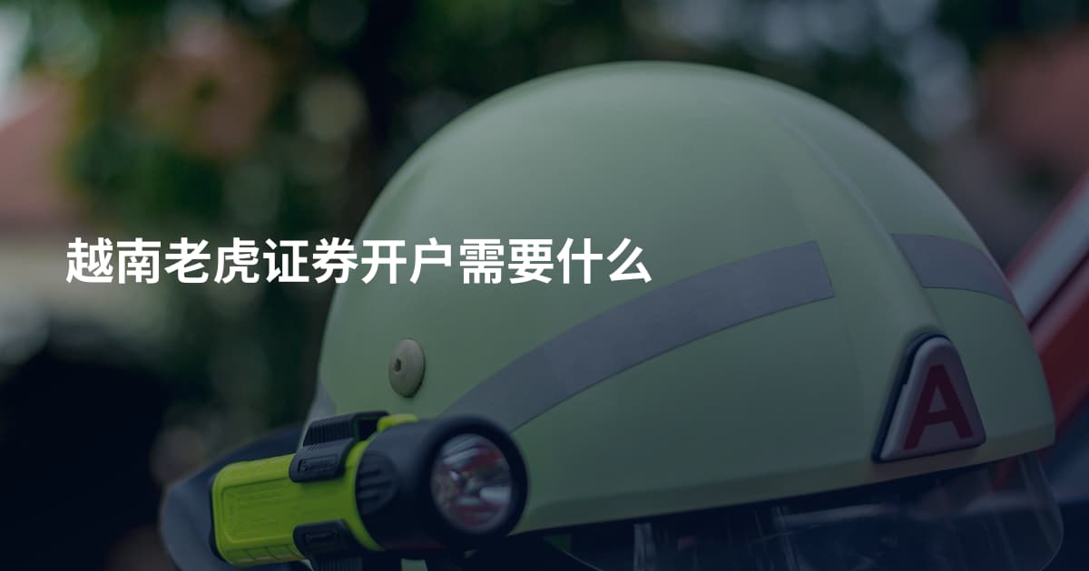 越南老虎证券开户需要什么