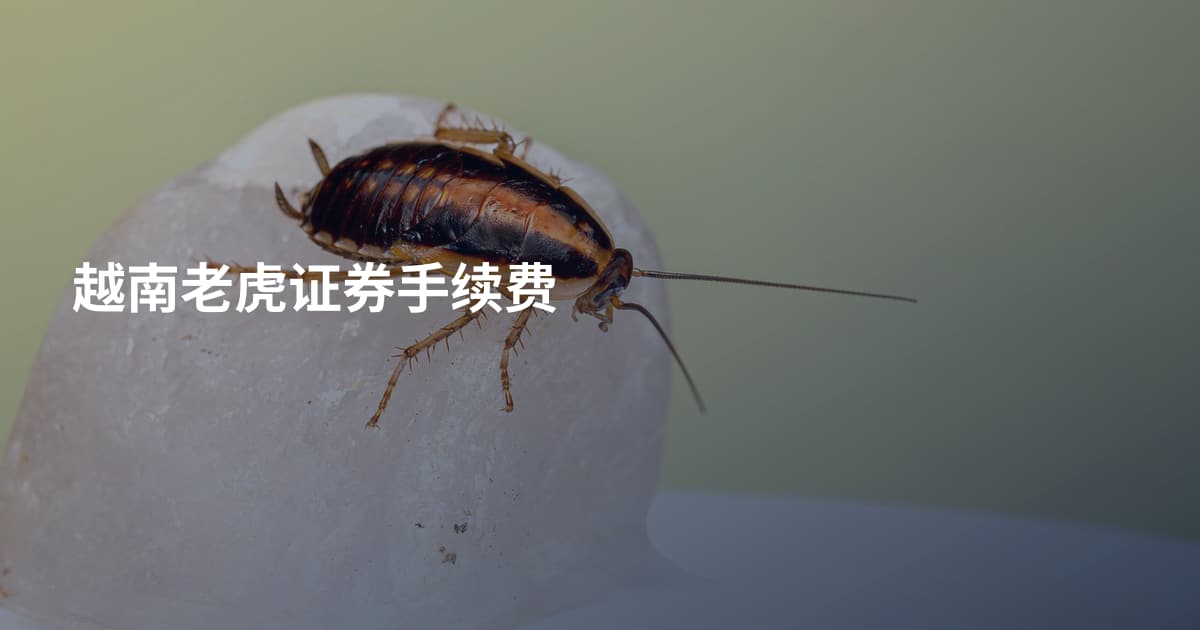 越南老虎证券手续费